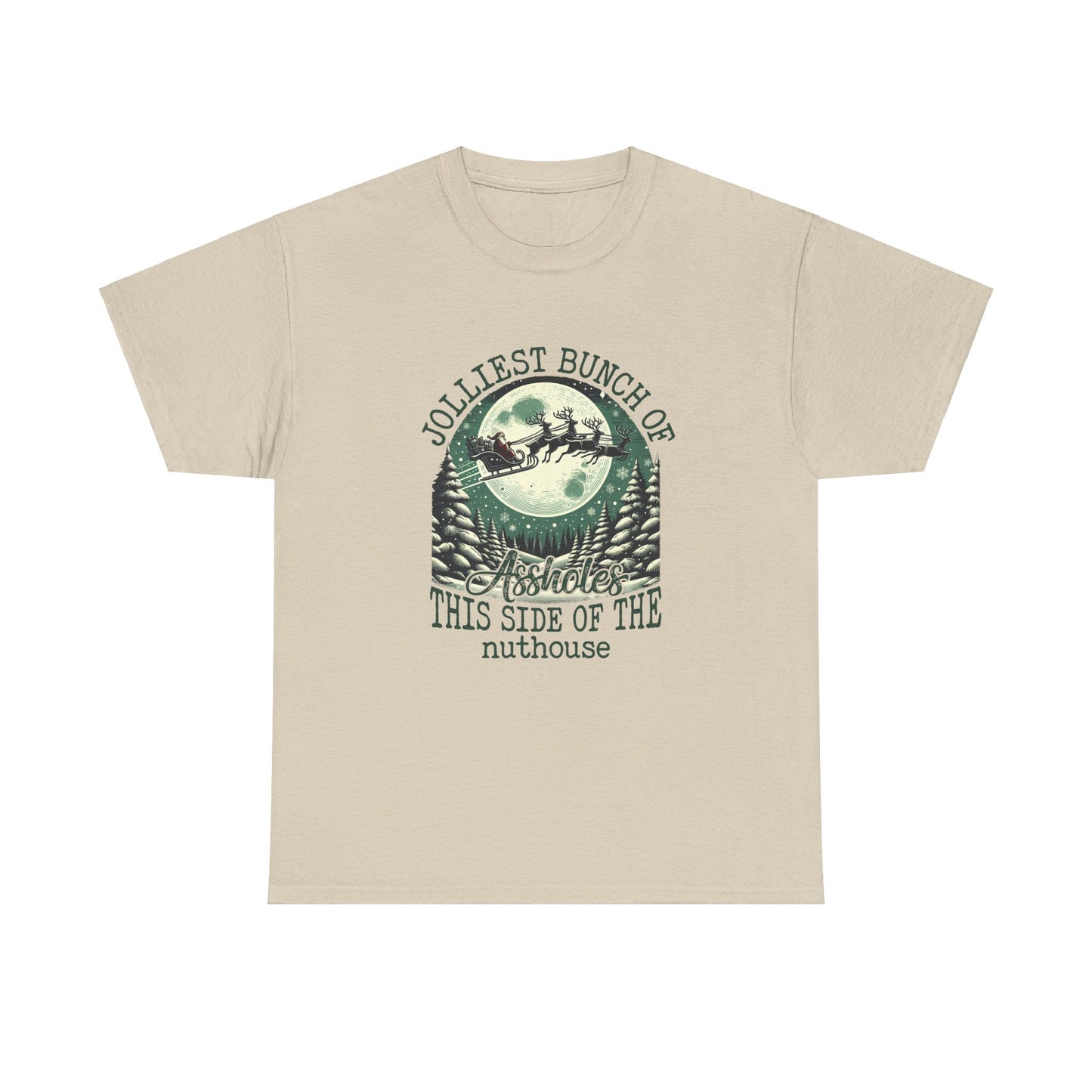 Jolliest Bunch of Assholes This Side Of The Nuthouse Shirt, Santa Claus Sweatshirt, Christmas Sweatshirt, Christmas Unisex Shirt